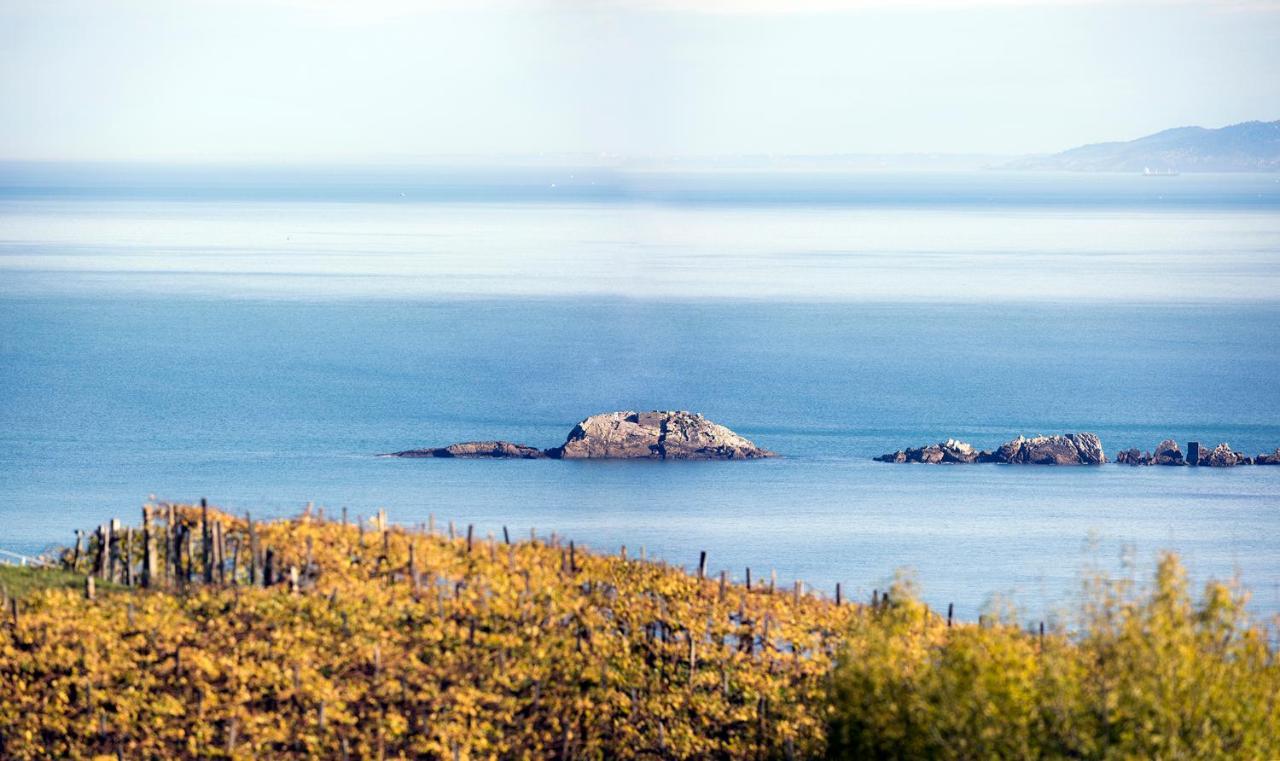Aterian Euromar I Apartman Zarautz Kültér fotó